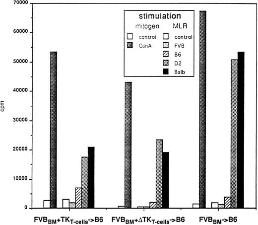 Fig. 5. T-cell proliferative responses after GCV treatment. Splenocytes were collected 6 to 8 months post-BMT and cultured in the presence of ConA or in MLR in the presence of donor (FVB), recipient (B6), or third party (D2 or Balb) irradiated splenocytes. Proliferative response of unmanipulated FVB splenocytes to ConA and allogeneic cells were comparable to that obtained with FVBBM → B6 (not shown).
