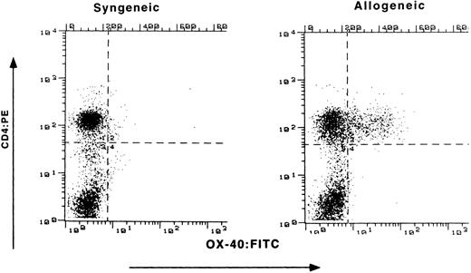 Fig. 1. Expression of OX-40 on PBL during GVHD. (Lewis × Buffalo)F1 rats were injected with either syngeneic F1 (left panel) or allogeneic Buffalo (right panel) BM and LN cells, as described in the text. The percentage of PBL staining with OX-40:FITC (absissa) and CD4:PE (ordinate) was determined 10 days posttransplantation as described in the Materials and Methods.