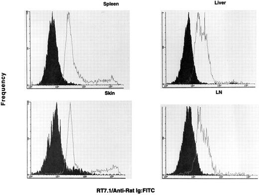 Fig. 4. The OX40+ cells are negative for RT7.1 and are therefore of donor allotype. The OX40+ cells (solid histogram) are negative for RT7.1, which indicates they possess the donor allele. The control F1 lymphocytes (open histogram) were positive for RT7.1, indicative of Lewis or (Lewis × Buffalo)F1 cells. The cell lines were stained on day 3 (spleen), day 10 (skin), day 14 (lymph node), and day 14 (liver) postsorting.