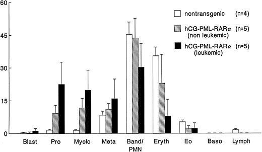 Fig. 3. Comparison of bone marrow differentials. Differentials of 200 cells were performed by two independent observers. Values represent the mean ± SD (indicated by the error bars). hCG–PML-RARα mice have significant (P < .01) increases in early stage myeloid cells (promyelocytes and myelocytes).