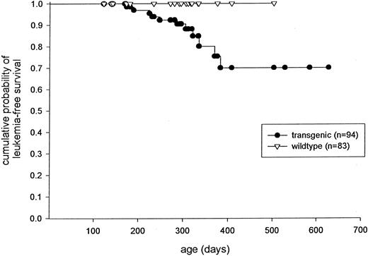 Fig. 6. Kaplan-Meyer plot displaying the probability of leukemia-free survival in mice derived from founder lines 83, 135, and 137.