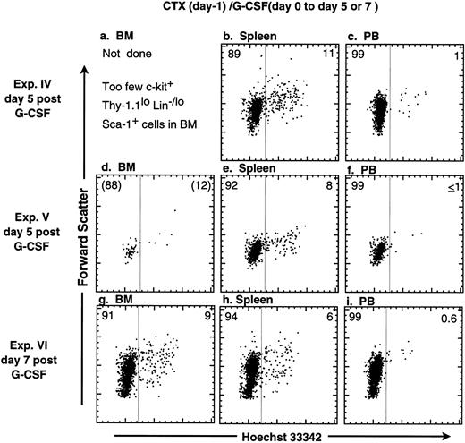 Fig. 3. Cell cycle analysis of purified mouse c-kit+ Thy-1.1lo Lin−/lo Sca-1+ cells after mobilization with combination of CTX and G-CSF. Mice were treated with CTX (200 mg/kg) and, 24 hours later, infused continuously with G-CSF (190 μg/kg/d) for 5 (Exp. IV and V) or 7 days (Exp. VI). c-kit+ Thy-1.1lo Lin−/lo Sca-1+ cells were purified and the cells were stained with Hoechst 33342 for analysis of DNA content. The FACS plots from three separate experiments show Hoechst 33342 staining versus forward scatter of c-kit+ Thy-1.1lo Lin−/lo Sca-1+ cells isolated from (d and g) BM, (b, e, and h) spleen, and (c, f, and g) MPB. There were not enough KTLS cells isolated from BM during Exp. IV for analysis. The percentage of cells in G0/G1 or S/G2/M is indicated on the left or right side of each FACS plot, respectively.