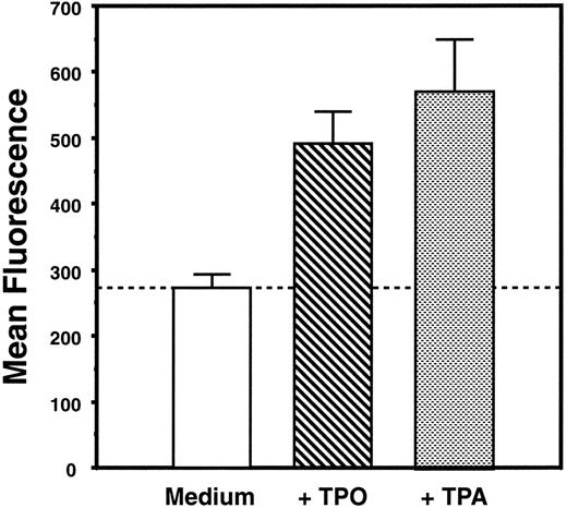 Fig. 1. TPO induces increased acetylcholinesterase content of L8057 cells. L8057 cells were grown in IMDM with 10% fetal calf serum alone (medium) or with supplemental TPO (4% conditioned medium) or with 50 nmol/L TPA. Acetylcholinesterase content was determined by fluorimetric assay; the graph indicates the mean of triplicate determinations and standard error of mean. These results are representative of five separate experiments.