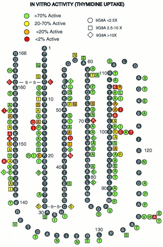 Fig. 1. Mutagenesis of rHuEPO. Amino acid residues in the rHuEPO sequence (black circles with white letters) and rHuEPO variants (adjacent to rHuEPO sequences with shaded symbols) are indicated. Oc, substitution of a termination codon, TGA. The shape of the symbols indicates the effect of the mutation on RIA-9G8A immunoreactivity. The shading code represents the effect on in vitro bioactivity.