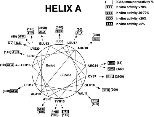 Fig. 2. Effect of mutations on structure and function for residues 5 to 23. A helical wheel presentation shows amino acids found in rHuEPO (closest to the circle). Arrows point to mutations (in boxes). RIA-9G8A immunoreactivity for each variant is shown in parentheses adjacent to the mutation. Shading indicates the effect of the mutation on in vitro bioactivity.