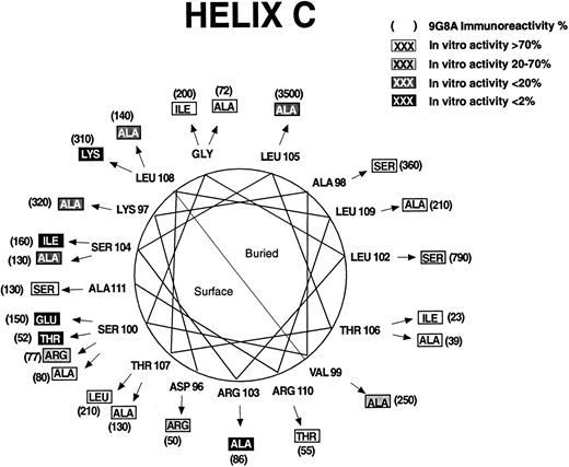 Fig. 4. Effect of mutations on structure and function for residues 94 to 111. A helical wheel presentation shows amino acids found in rHuEPO (closest to the circle). Arrows point to mutations (in boxes). RIA-9G8A immunoreactivity for each variant is shown in parentheses adjacent to the mutation. Shading indicates the effect of the mutation on in vitro bioactivity. Predicted buried and exposed surfaces are indicated.