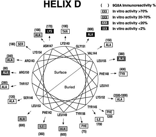 Fig. 5. Effect of mutations on structure and function for residues 140 to 157. A helical wheel presentation shows amino acids found in rHuEPO (closest to the circle). Arrows point to mutations (in boxes). RIA-9G8A immunoreactivity for each variant is shown in parentheses adjacent to the mutation. Shading indicates the effect of the mutation on in vitro bioactivity. Predicted buried and exposed surfaces are indicated.