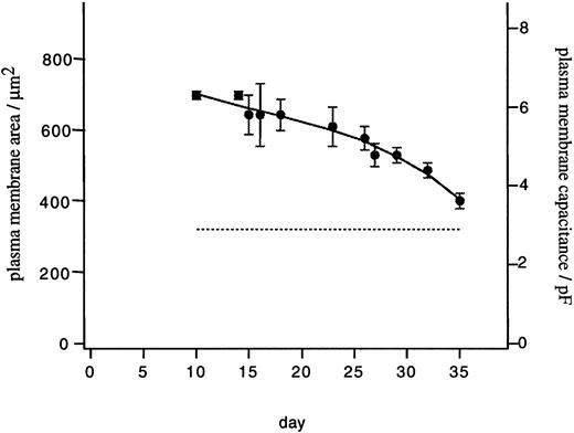 Fig. 1. Decrease of plasma membrane area during differentiation. Resting plasma membrane area (left scale) was determined from initial capacitance (right scale) in 81 cells from three different cultures after different times in culture. Data points are mean ± SD. The continuous line is a third order polynomial fit. The mean value of mature cells is indicated by the dashed line (2.9 ± 0.3 pF, SD, n = 30).