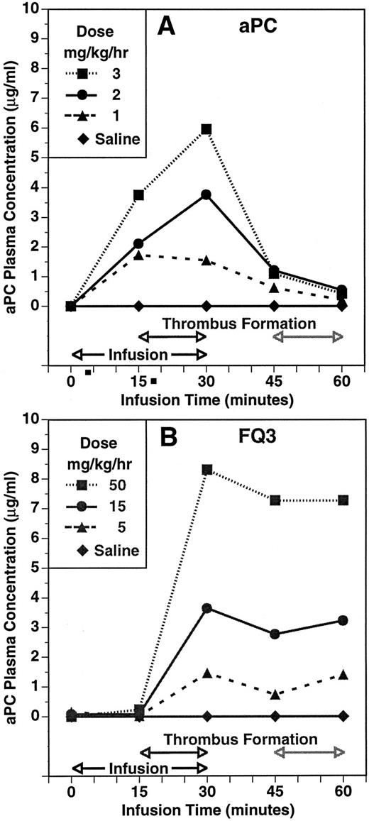 Fig. 3. The time course and dose-dependency of plasma aPC concentration in the guinea pig thrombosis model during infusion of aPC (A) and of the zymogen FLIN-Q3 (B). Plasma concentration was determined using an immunocapture amidolytic assay for aPC. Compare the presence of activity during infusion with aPC (A) with the absence of aPC activity after 15 minutes of infusion with FLIN-Q3 (B) before thrombin generation and thrombus formation during the first period of thrombosis. Note the increase in aPC concentration during the second period of thrombus formation even though the FLIN-Q3 infusions (B) had been stopped for 15 minutes and compared with the absence of activity during this period after infusion with aPC (A).
