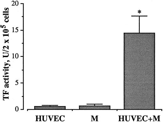 Fig. 1. Effect of coincubation of monocytes (M) with HUVEC on TF activity. 4 × 105 M were incubated with or without HUVEC (2 × 105/well) for 4 hours at 37°C in 7.5% CO2 . At the end of incubation the cells were washed and resuspended in 300 μL RPMI 1640. TF activity was measured in frozen and thawed samples, as described in Materials and Methods. Bars represent the mean of ten experiments ± SEM. *P < .0001 versus both HUVEC and M incubated alone.