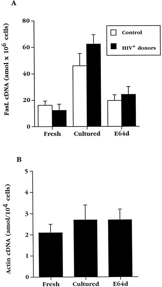 Fig. 6. Culture of PBL results in upregulation of FasL mRNA, which is inhibited by E64d. (A) Mean FasL mRNA levels ± standard error of mean (SEM) in fresh PBL and PBL cultured for 20 hours in the absence or presence of E64d from uninfected (n = 6) and HIV-infected (n = 9) individuals. (B) Competitive PCR analysis of actin cDNA from HIV+ PBL (n = 4). Data are expressed as the arithmetic mean ± SEM.