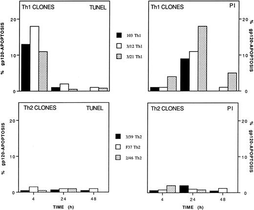 Fig. 2. Differential susceptibility of Th1 and Th2 clones to gp120-apoptosis. Th1 clones 103, 3/12, and 3/21 and Th2 clones 3/39, F37, and 2/46 were treated with 10 μg/mL gp120, an equal dose of anti-gp120 MoAb, and seeded in the presence of immobilized anti-TCR MoAb. The percentage of apoptotic cells was determined at the indicated times with TUNEL and PI staining. Data are expressed as net % gp120-apoptosis (see Materials and Methods).