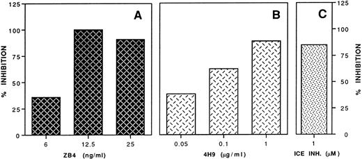 Fig. 5. Inhibition of gp120-apoptosis by anti-CD95 neutralizing MoAb (A), by anti-CD95L neutralizing MoAb (B), and by ICE inhibitor (C). Clone 103 (Th1) was triggered to undergo gp120-apoptosis, after preincubation (30 minutes at 37°C) with the indicated doses of anti-CD95 neutralizing MoAb ZB4 (A), anti-CD95L neutralizing MoAb 4H9 (B), or ICE inhibitor (C). ZB4, 4H9, and ICE inhibitor were then maintained throughout treatment with gp120 and anti-gp120 and culture on immobilized anti-TCR MoAb. After 4 hours, apoptosis was determined by TUNEL. gp120-Apoptosis in the absence of inhibitors was 15% to 18%. % inhibition was calculated as indicated in Materials and Methods.