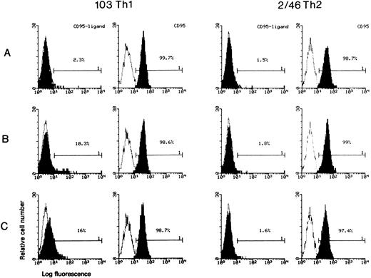 Fig. 6. Cytofluorimetric analysis of CD95L induction during gp120-apoptosis. Clone 103 (Th1) and clone 2/46 (Th2) were analyzed for CD95 and CD95L expression (shaded histograms) with an indirect immunofluorescence 1 hour after treatment for induction of gp120-apoptosis. Cells were incubated with fluorescein-conjugated anti-CD95 MoAb UB2 or biotinylated anti-CD95L MoAb 4A5 followed by Streptavidin-PE; the percentage of positive cells is indicated. Negative controls (empty histograms) were cells stained with fluorescein-conjugated or biotinylated isotype-matched control MoAb, respectively. (A) Cells treated with anti-TCR MoAb only; (B) cells sensitized to gp120 apoptosis (gp120/anti-gp120/anti-TCR); (C) cells stimulated with PMA/ionophore.
