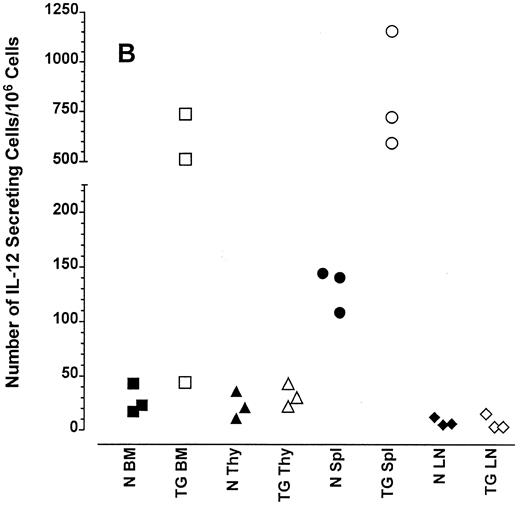Fig. 3. Frequency of cytokine secreting cells in transgenic mice versus normal littermate controls. ELIspot assays were used to determine the number of cells secreting IFN-γ (A), IL-12 (B), and IL-4 (C) in the bone marrow (BM), thymus (Thy), spleen (Spl), and mesenteric lymph nodes (LN) of transgenic mice (TG) and normal littermate controls (N). Results represent the individual frequencies of cytokine producing cells of 3 mice per group.