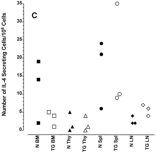 Fig. 3. Frequency of cytokine secreting cells in transgenic mice versus normal littermate controls. ELIspot assays were used to determine the number of cells secreting IFN-γ (A), IL-12 (B), and IL-4 (C) in the bone marrow (BM), thymus (Thy), spleen (Spl), and mesenteric lymph nodes (LN) of transgenic mice (TG) and normal littermate controls (N). Results represent the individual frequencies of cytokine producing cells of 3 mice per group.