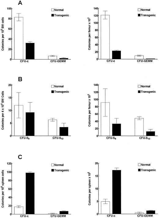 Fig. 8. IFN-γ transgenic mice have altered frequencies and numbers of myeloid progenitor cells. Bone marrow cells (A) or spleen cells (C) from transgenic or control mice were assayed to determine the frequency (left graph) and total number (right graph) of CFU-c– and CFU-GEMM–producing myeloid progenitors. (B) Bone marrow cells from transgenic or control mice were also assessed for the frequency and number of CFU-S progenitors. The data represent the mean ± SD of three replicates per group.