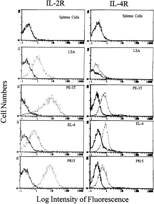 Fig. 1. Flow cytometric analysis of IL-2R and IL-4R expression on tumor cells. Various tumor cells as well as normal C57BL/6 splenic cells were incubated with anti–IL-2R MoAbs (7D4) or anti–IL-4R MoAbs followed by FITC-conjugated secondary Abs as described in Materials and Methods. The cells were analyzed using a flow cytometer. The bold histogram represents the negative control, and the broken histogram shows cells stained for IL-2R or IL-4R expression.