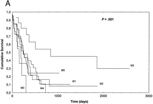 Fig. 1. (A) Duration of CR according to FAB subtypes; (B) overall SV according to FAB subtypes.