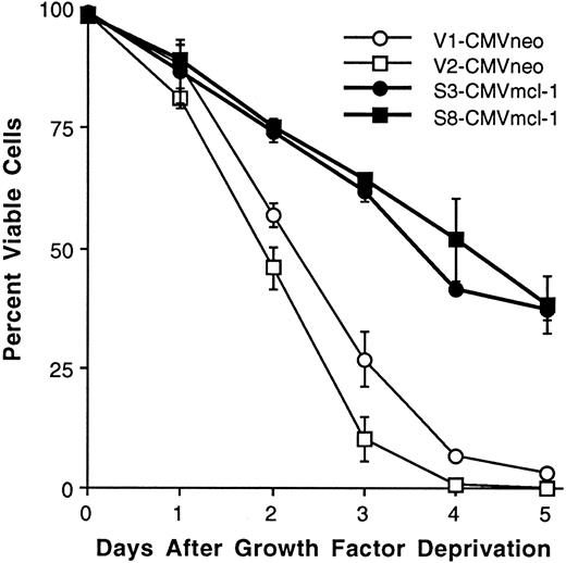 Fig. 5. Effect of growth/viability factor deprivation on FDC-P1 transfectants expressing versus not expressing mcl-1. mcl-1 transfectants (S3-CMVmcl-1 and S8-CMVmcl-1) and vector-only clones (V1-CMVneo and V2-CMVneo) were transferred from transfectant growth medium (containing 10% FBS and 10% WEHI-3b conditioned medium) to growth factor-depleted medium (containing 1% FBS and lacking a source of IL-3, see Materials and Methods) at an inoculum density of 5 × 105 cells/mL. Viability was assayed at the indicated times using trypan blue dye exclusion. The values shown are the mean ± SD of three independent experiments. The average total cell number (×105) in the mcl-1 transfectants was 6.7, 8.0, 7.9, and 7.6 on days 1 through 4, respectively. The average total cell number (×105) in the vector-only clones was 8.9, 9.5, 9.6, and 10.0 on days 1 through 4, respectively. Viability in growth factor-containing medium was greater than 96%.