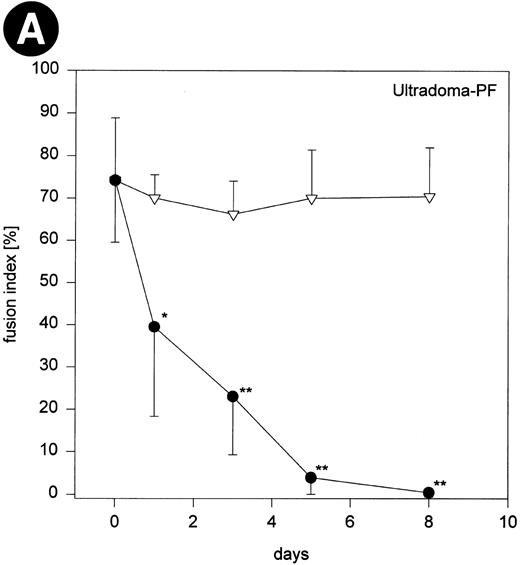 Fig. 4. Fig 4 (cont'd). (A) Influence of monocyte to macrophage maturation on the formation of MGC. Monocytes were cultured with (•) and without (▿) human serum to induce/prevent macrophage maturation and stimulated with conditioned medium. Six different media were compared (Ultradoma-PF, Ultradoma, RPMI 1640, SF3, CG, and RG, the latter two inducing monocyte maturation by themselves). Each point represents the mean of six experiments performed with cells obtained from different donors. Deviations from the mean are caused mainly by the donor variability found on day 0 (fusion rates ranging from 55% to 90%). The capacity to fuse is gradually lost during maturation. Asterisks indicate statistically significant differences between cultures with and without human serum (*P < .05, **P < .01). Two typical examples are shown in the photographs. Following culture in protein-free medium (Ultradoma-PF ) without (B) or in the presence of (C) human serum, formation of MGC is still possible (B) or markedly reduced (C). Stimulation was performed on day 5. Giemsa, original magnification × 50.