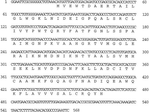 Fig. 5. Nucleotide and amino acid sequence of the βA2 -globin cDNA.