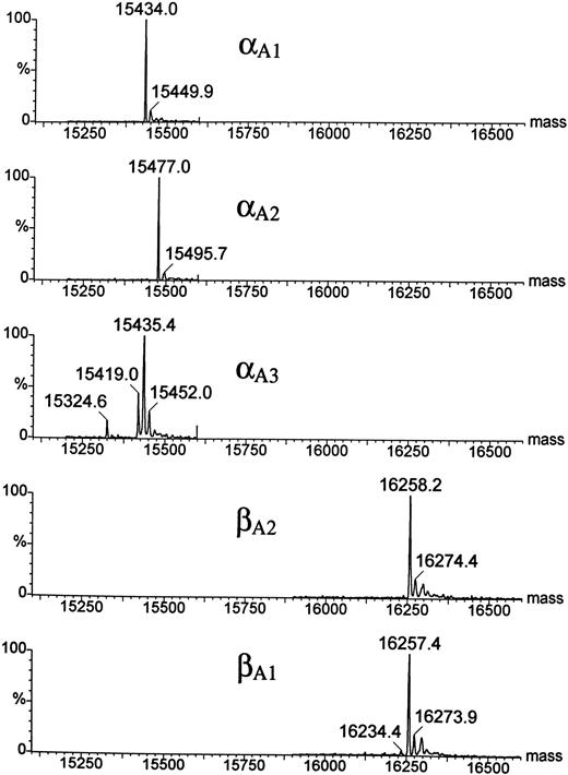 Fig. 7. Electrospray ionization mass spectra of the zebrafish globins deconvoluted to real mass scale by MaxEnt software. Before ESMS analysis, globins were isolated by reversed-phase HPLC (Fig 6). Mass spectra of the HPLC fractions are shown in order of their elution; the bottom panel shows the mass spectrum of the least hydrophobic globin βA1 . Average molecular masses calculated for βA1 , βA2 , and αA1 globins on the basis of their known sequences are 16257.8, 16257.8, and 15437.0 Daltons, respectively.