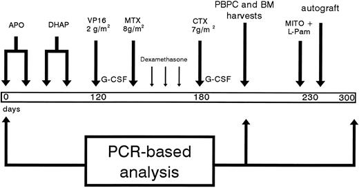 Fig. 1. Schematic representation of HDS program. APO, see the Materials and Methods; VP16, etoposide; MTX, methotrexate; CTX, cyclophosphamide; MITO, mitoxantrone.