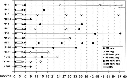 Fig. 2. PCR-based monitoring of MRD after autografting. harv,harvests. (□) PCR-negativity; (▪) PCR-positivity.