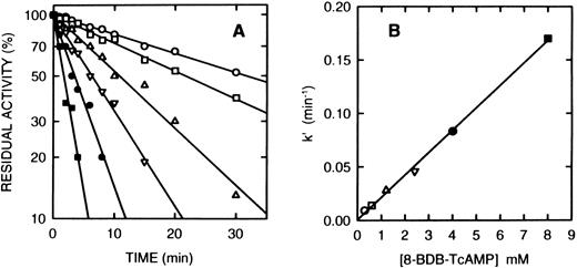 Fig. 2. Time course of the inactivation of cAS-PDE by 8-BDB-TcAMP. (A) The enzyme was incubated at 25°C with the 8-BDB-TcAMP (○, 0.3; □, 0.6; ▵, 1.2; ▿, 2.5; •, 4; and ▪, 8 mmol/L) in 50 mmol/L HEPES buffer, pH 7.5, 20% glycerol and 5 mmol/L MgCl2 . Aliquots (2 μL) were removed, diluted 1,000-fold, and the diluted solution was assayed in triplicate. The results were corrected for the control which retained >95% of starting activity over the course of the experiment. (B) The pseudo-first-order constants k′ were plotted against the concentration of 8-BDB-TcAMP to obtain the second-order rate constant (0.022 min−1mmol/L−1).