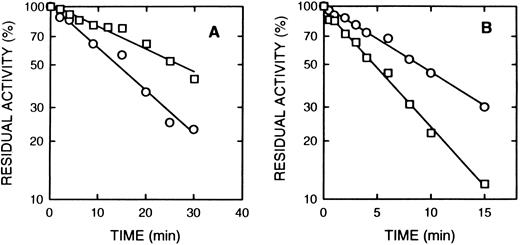Fig. 5. The effect of rolipram and denbufylline. (A) Rolipram (0.3 μmol/L) was preincubated with cAS-PDE samples for 2 minutes and then 8-BDB-TcAMP (5 mmol/L) was added (□). The data (○) represents samples treated only with 8-BDB-TcAMP (5 μmol/L). (B) Denbufylline (0.5 μmol/L) was preincubated for 2 minutes and then 8-BDB-TcAMP (8 mmol/L) was added (○). The data (□) represent inactivation of cAS-PDE by 8 mmol/L 8-BDB-TcAMP. The timed aliquots were diluted 20,000-fold and activity determined in triplicate.