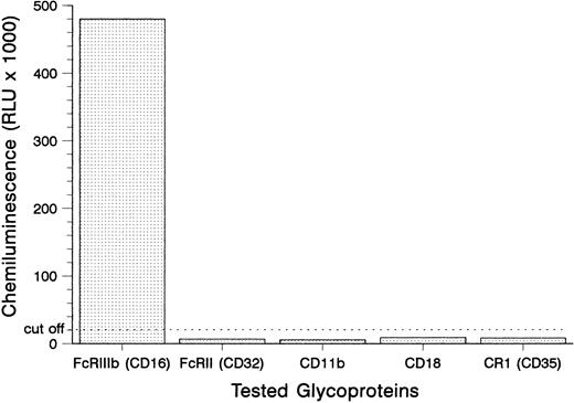 Fig. 1. Detection of SH on the FcγRIIIb using the MAIGA assay. Neutrophils from a SH(+) donor were tested with the anti–SH-containing serum no. 1 for antibodies to FcγRIIIb, FcγRII, the subunits of the leukocyte adhesion molecule CD11b/CD18, and the C3b complement receptor CR1 (CD35).