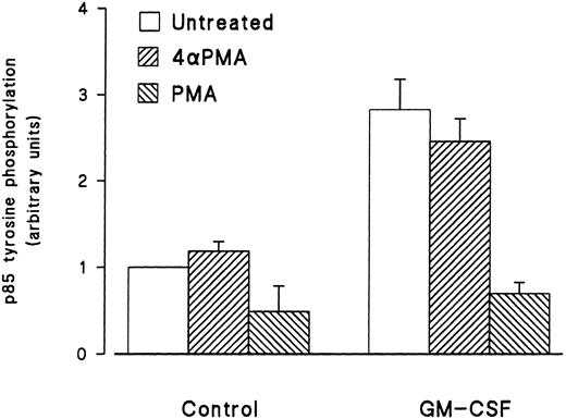 Fig. 4. Effects of PMA on the activation of the tyrosine phosphorylation of the p85 subunit of PI3-kinase induced by GM-CSF in human neutrophils. The cells were simultaneously treated with BSA (0.01%), GM-CSF (4 nmol/L), and/or phorbol esters (90 nmol/L) for 15 minutes at 37°C. Neutrophils were lysed under denaturing conditions and the immunoprecipitation was performed using agarose-conjugated antiphosphotyrosine antibodies. The p85 subunit was revealed by blotting using specific anti-p85 antibodies and quantified by densitometry. Statistical significance was evaluated using unpaired Student's t-test. Mean ± SEM of four independent experiments.