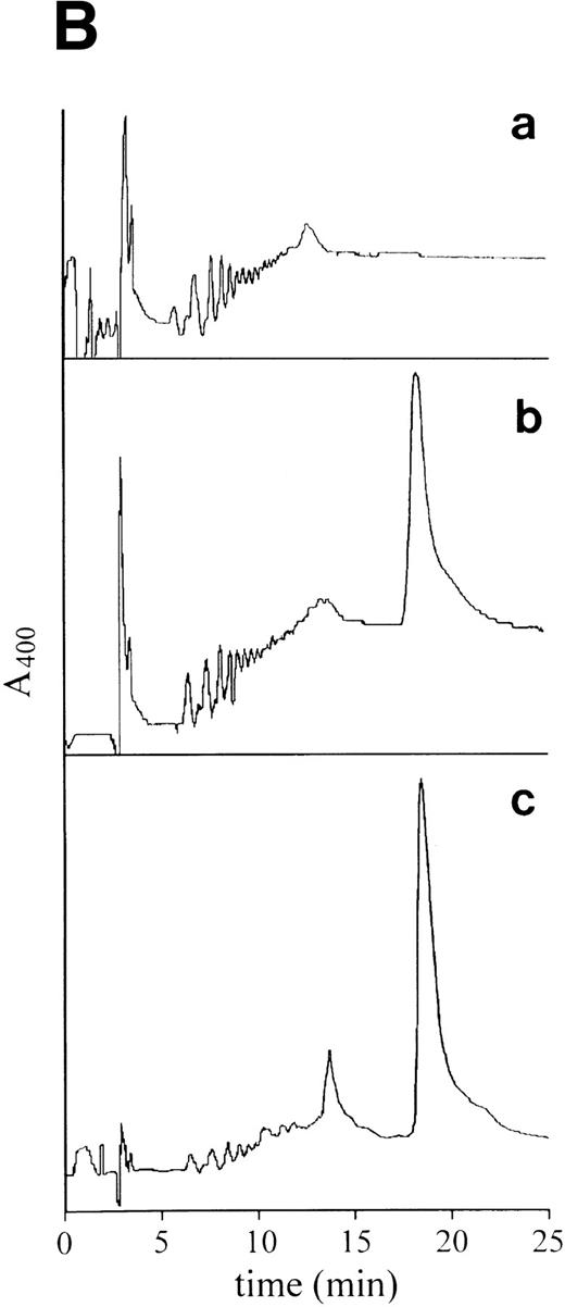 Fig. 2. Development of protoporphyria in C57BL/10ScSn mice after CP94. (A) Accumulation of hepatic porphyrins expressed as protoporphyrin. Mice were administered CP94 in the drinking water (2 mg/mL) for up to 15 weeks. Results are mean ± SD from 3 to 8 mice per group. (B) HPLC of liver porphyrins after 2 weeks of exposure to CP94. (a) control, (b) CP94, and (c) standard protoporphyrin.