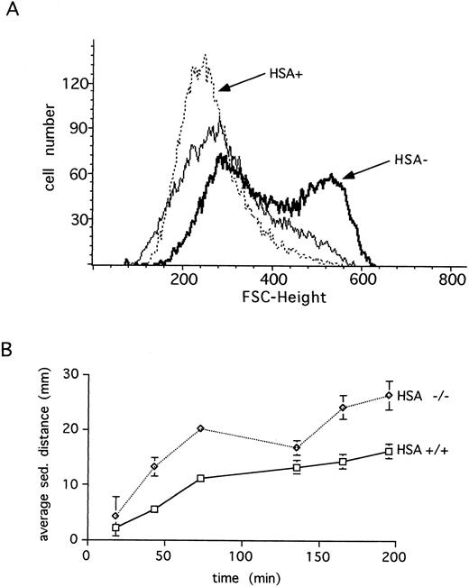 Fig. 4. Erythrocytes from HSA-deficient mice show increased aggregation. (A) The forward (FSC) light scattering of blood erythrocytes is shown for wild-type (HSA+, dotted line) and HSA-deficient (HSA-, thick line) mice at a flow rate of 130 events/s (sample differential 0.5). Increasing the flow rate to 600 events/s (sample differential 3.0) results in disaggregation of the HSA- erythrocytes (thin solid line). (B) The average blood sedimentation distance, with standard deviations, from five wild-type (+/+) and five HSA-deficient (-/-) mice over time is shown.