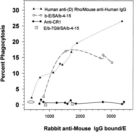 Fig. 1. Percent of phagocytosis for human E containing varying amounts of bound rabbit IgG. E were consecutively opsonized with varying amounts of human anti-(D) Rho antibodies followed by a mouse MoAb (HB 43) specific for human IgG followed by rabbit antimouse IgG. Alternatively, the E were biotinylated (b-E), and then consecutively treated with SA, biotinylated mouse MoAb 4-15, and rabbit antimouse IgG. In the third model, the E were first opsonized with various anti-CR1 MoAbs followed by rabbit antimouse IgG. Finally, the two single points (⊡) represent nonbiotinylated E that were consecutively treated with biotinylated anti-CR1 MoAb 7G9, followed by SA, biotinylated MoAb 4-15, and finally by rabbit antimouse IgG. The graph portrays the results for multiple independent studies. The oval demonstrates the background level of phagocytosis for E treated with BSA-PBS followed by rabbit antimouse IgG. The solid circle at 2,732 IgG/E is also reported in Fig 2.