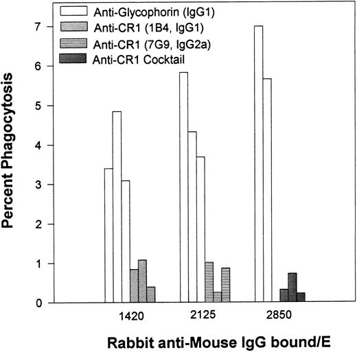 Fig. 2. Percent of phagocytosis for human E opsonized with different inputs of an MoAb specific for glycophorin versus phagocytosis of E opsonized with anti-CR1 MoAbs. After opsonization with antiglycophorin or antiCR1 MoAbs, the E were then reacted with rabbit antimouse IgG. The multiple bars are representative of the same experiment performed on 3 different days.