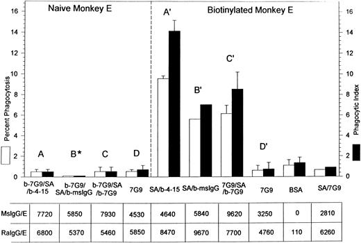 Fig. 4. Percent of phagocytosis and phagocytic index of both naive and biotinylated rhesus monkey E containing bound mouse IgG and rabbit antimouse IgG. The E designations are the same as those displayed in Figs 1 through 3. The E in the B* bar represent naive E reacted with biotinylated antiCR1 MoAb 7G9 followed by SA followed by biotinylated mouse IgG; the B' designation denotes biotinylated E reacted with SA followed by biotinylated mouse IgG. The star by B indicates that the percent phagocytosis was very low (3 independent experiments) and the bars were included for clarity. The table displays the total number of mouse antibodies (MsIgG/E) and rabbit antimouse antibodies (RaIgG/E) bound per E. Results in Fig 4 represent different experiments from those in Fig 3. In most cases, the mean and SD for two or more independent experiments are given.