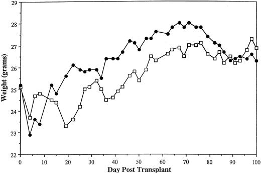Fig. 1. Transplantation of activated γδ T cells does not result in clinically significant GVHD in long-term chimeras. Irradiated (800 cGy) AKR mice were transplanted with 10 × 106 TCD B6129 BM alone (n = 3, □) or TCD B6129 BM plus 160 × 106 activated γδ T cells (from β0 donors, B6129 background) with or without 2.5 × 104 naive αβ T cells (n = 7, •). The mean weights of animals for the first 100 days posttransplant are shown. Weight curves are from mice shown in Table 6.