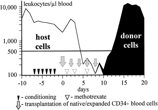 Fig. 1. Kinetics of the host (XY-chromosome) and donor (XX-chromosome) leukocytes in patient UPN 345. Sex genotype was proven by FISH, counting 1,000 nucleated blood cells daily.
