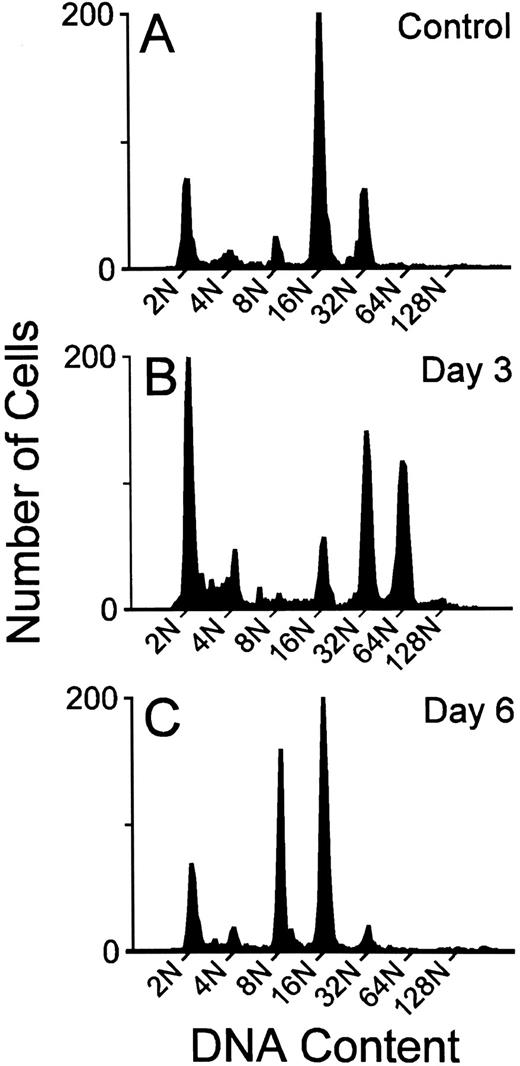 Fig. 1. Representative megakaryocyte DNA distributions from the BM of individual mice given 1% mouse serum (A), or treated with 25 μg/kg rmMGDF and killed on day 3 (B) or day 6 (C).