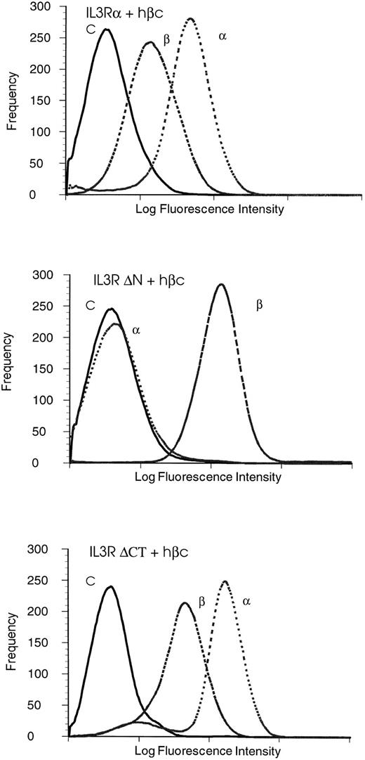 Fig. 2. Analysis of surface expression on FDC-P1 cells expressing either IL-3Rα + hβc or IL-3RΔNT + hβc or IL-3RΔCT + hβc by flow cytometry using isotype control MoAb (C), MoAb 1C1 for hβc detection (β), and MoAb 7G3 for IL-3Rα detection (α). IL-3Rα and IL-3RαΔCT are expressed at similar levels, but IL-3RαΔNT is not recognized by the MoAb 7G3.