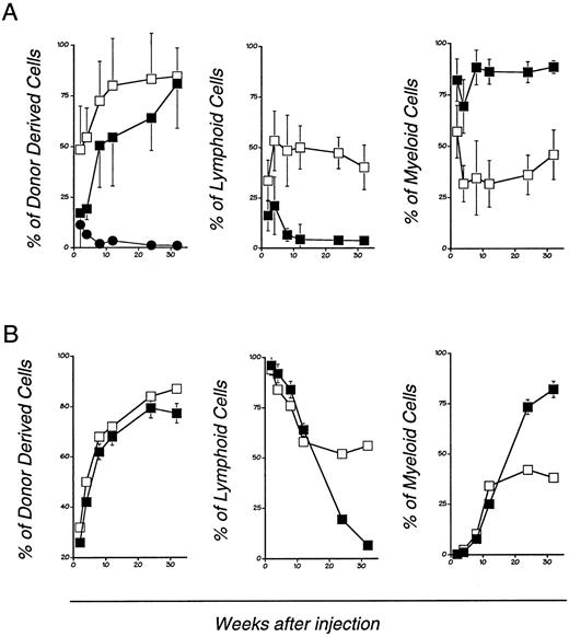 Fig. 2. Long-term lymphohematopoietic reconstitution by bcl-2–deficient mouse BM stem cells (A) and fetal liver cells (B). Transplantation was performed as described in experimental procedures. Peripheral blood mononuclear cells from the recipient mice transplanted with bcl-2−/− (closed squares and circles) or +/− (open squares) mouse-derived HSC were analyzed at each experimental period. The cells were stained with donor type common leukocyte antigen specific MoAb (anti-Ly5.2), recipient specific (anti-Ly5.1) MoAb, Thy-1/B220 mixture and Gr-1/Mac-1 mixture. Four-color flow cytometry analysis was performed. The percentage of Thy-1/B220 positive cells or Gr-1/Mac-1 positive cells in donor-derived cells (Ly5.2 positive fraction) were calculated. Kinetics of donor derived cells (left), and the relative percentage of donor derived lymphoid cells (middle), and myeloid cells (right) are shown. Each data point represents mean ± SD from 16 individual experiments.
