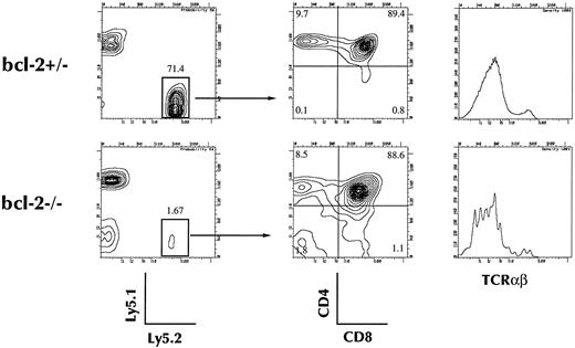 Fig. 5. Thymocyte reconstitution by bcl-2–deficient BM stem cells after intrathymic injection. Twenty-one days after intrathymic injection, mice were killed and single cell suspensions were prepared from thymuses. Cells were analyzed for the expression of Ly5.1 and Ly5.2, CD4, and CD8, or Ly5.2, CD4, CD8, and TCRαβ. Expression of CD4 and CD8 on donor-derived (Ly5.2+, Ly5.1− cells) and TCRαβ expression in chimeric mice of bcl-2−/− HSCs or bcl-2+/− control chimeric mice are shown. Results shown are representative of five separate experiments.