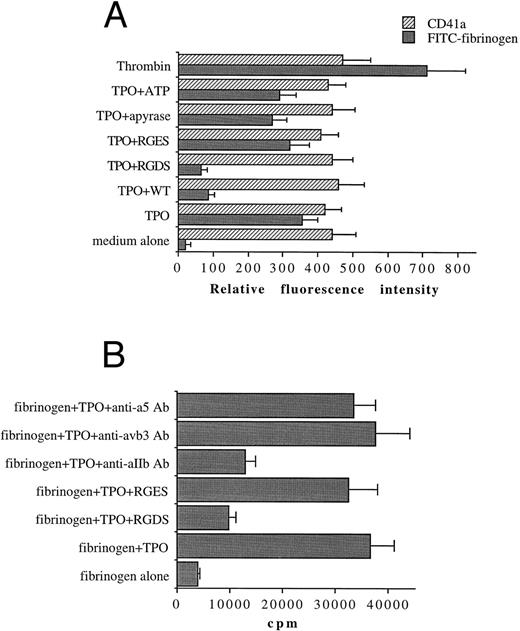 Fig. 10. TPO (100 ng/mL) upregulates the activation state of αIIbβ3 (A) and the αIIbβ3-binding adhesion of 51Cr-labeled platelets to immobilized fibrinogen (B). FACScan analysis and binding experiments were performed as described in Materials and Methods. In (A), data are expressed as means ± SD of three to six separate experiments. In (B), data are expressed in cpm and represent means ± SD of three separate experiments.