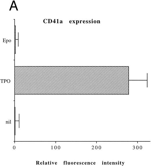 Fig. 1. Analysis of αIIbβ3 expression (A), DNA content (B), and morphology (C and D) of CD34+ cells, performed before or after 6 days of liquid culture with 100 ng/mL TPO. αIIbβ3 expression was examined with anti-CD41a MoAb directly conjugated to fluorescein and fluorescence was analyzed by FACScan. Negative controls are represented by cells treated with an isotype-matched irrelevant MoAb (anti-CD8) directly conjugated to fluorescein. The DNA content was examined by FACScan after PI staining. Cytospins were observed at light microscopy after May-Grünwald Giemsa staining (original magnification × 400). Flow cytometry results are expressed in arbitrary fluorescence units and represent means ± SD of four separate experiments.