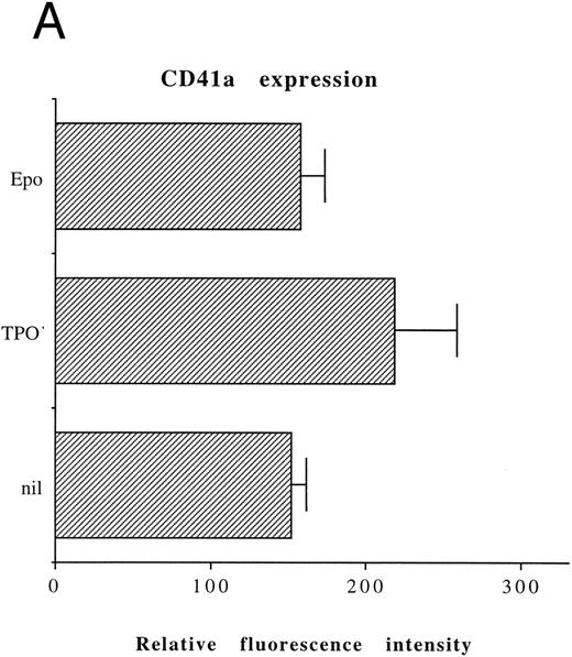 Fig. 2. Analysis of αIIbβ3 expression (A) and DNA content (B) of HEL cells, performed before or after 6 days of liquid culture with 100 ng/mL TPO. The αIIbβ3 expression and DNA content were examined as described in the legend to Fig 1. Flow cytometry results are expressed in arbitrary fluorescence units and represent means ± SD of four separate experiments.
