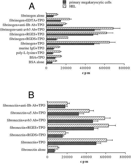 Fig. 3. Stimulation with TPO (100 ng/mL) results in the upregulation of αIIbβ3-mediated adhesion of 51Cr-labeled primary megakaryocytic cells and HEL cells to immobilized fibrinogen (A) or fibronectin (B). Binding of cells stimulated with TPO to various immobilized substrates was assessed as described in Materials and Methods. Results are expressed in cpm and represent means ± SD of five separate experiments.