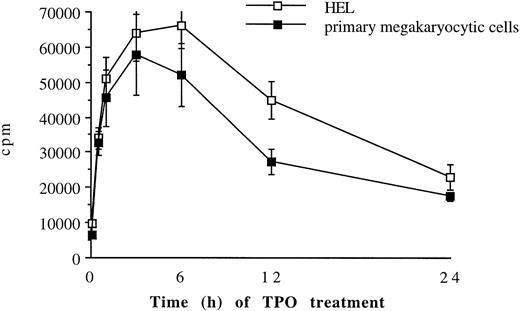 Fig. 4. Time course of TPO treatment on megakaryocytic cell adhesion to fibrinogen. 51Cr-labeled primary megakaryocytic (A) and HEL (B) cells were incubated with TPO (100 ng/mL) for increasing periods before plating onto fibrinogen-coated wells. Results are expressed in cpm and represent mean ± SD of three separate experiments.