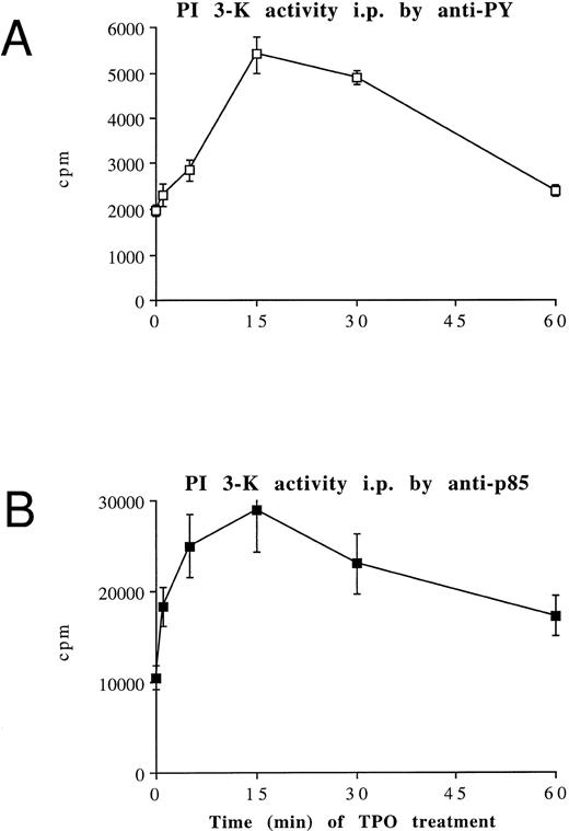 Fig. 5. TPO stimulation of HEL cells results in activation of PI 3-K. HEL cells were stimulated with 100 ng/mL TPO for 0 to 60 minutes at 37°C, lysed in PI 3-K lysis buffer, and then immunoprecipitated with anti-PY MoAb (A) or anti-p85 serum (B). Samples were then tested for PI 3-K activity as described in Materials and Methods. Data are expressed as means ± SD of five separate experiments. (C) HPLC analysis of deacylated (32P) PIP produced by an anti-p85 immunoprecipitate of HEL cells stimulated by TPO for 15 minutes (○, left peak) or by a total HEL cell lysate used as a standard source of PI-4-P ( — , right peak). Equivalent counts of (32P) PIP, obtained from an anti-p85 immunoprecipitate or total HEL cell lysates, were separated by thin-layer chromatography, deacyled, and subjected to HPLC separation, as described in Materials and Methods.
